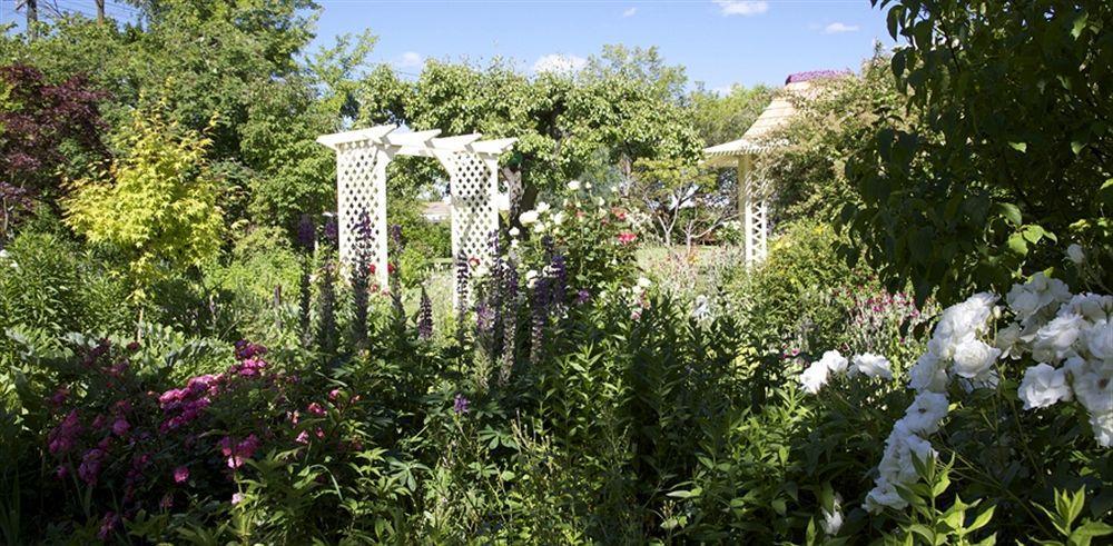 Hartley Homestead Boutique Bed & Breakfast Clyde Buitenkant foto
