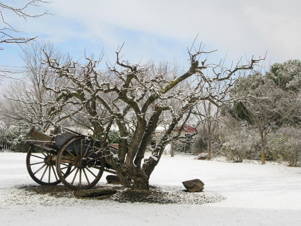 Hartley Homestead Boutique Bed & Breakfast Clyde Buitenkant foto
