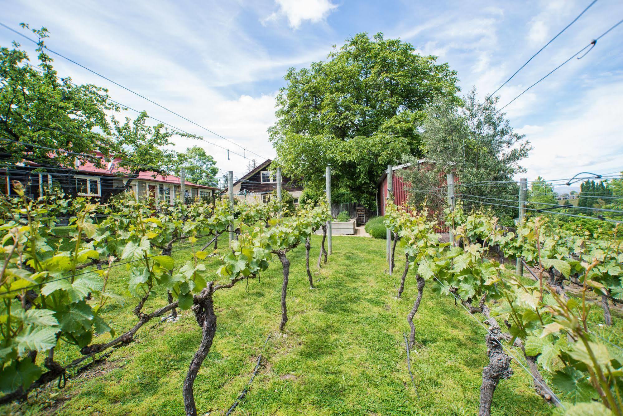 Hartley Homestead Boutique Bed & Breakfast Clyde Buitenkant foto